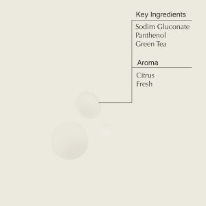 Aesop B & Tea Balancing Toner with B5