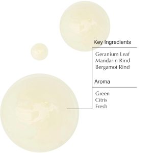 Aesop Geranium Leaf Body Cleanser Refill