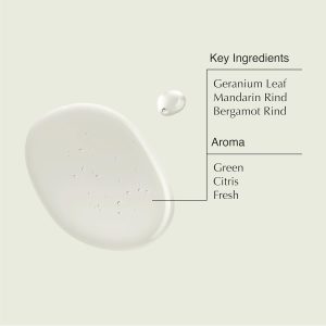 Aesop Geranium Leaf Body Cleanser and Shampoo