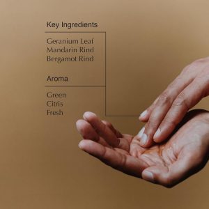 Aesop Geranium Leaf Body Cleanser + Refill