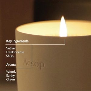 Aesop Callippus Aromatique Candle | Woody. Earthy. Green Scented